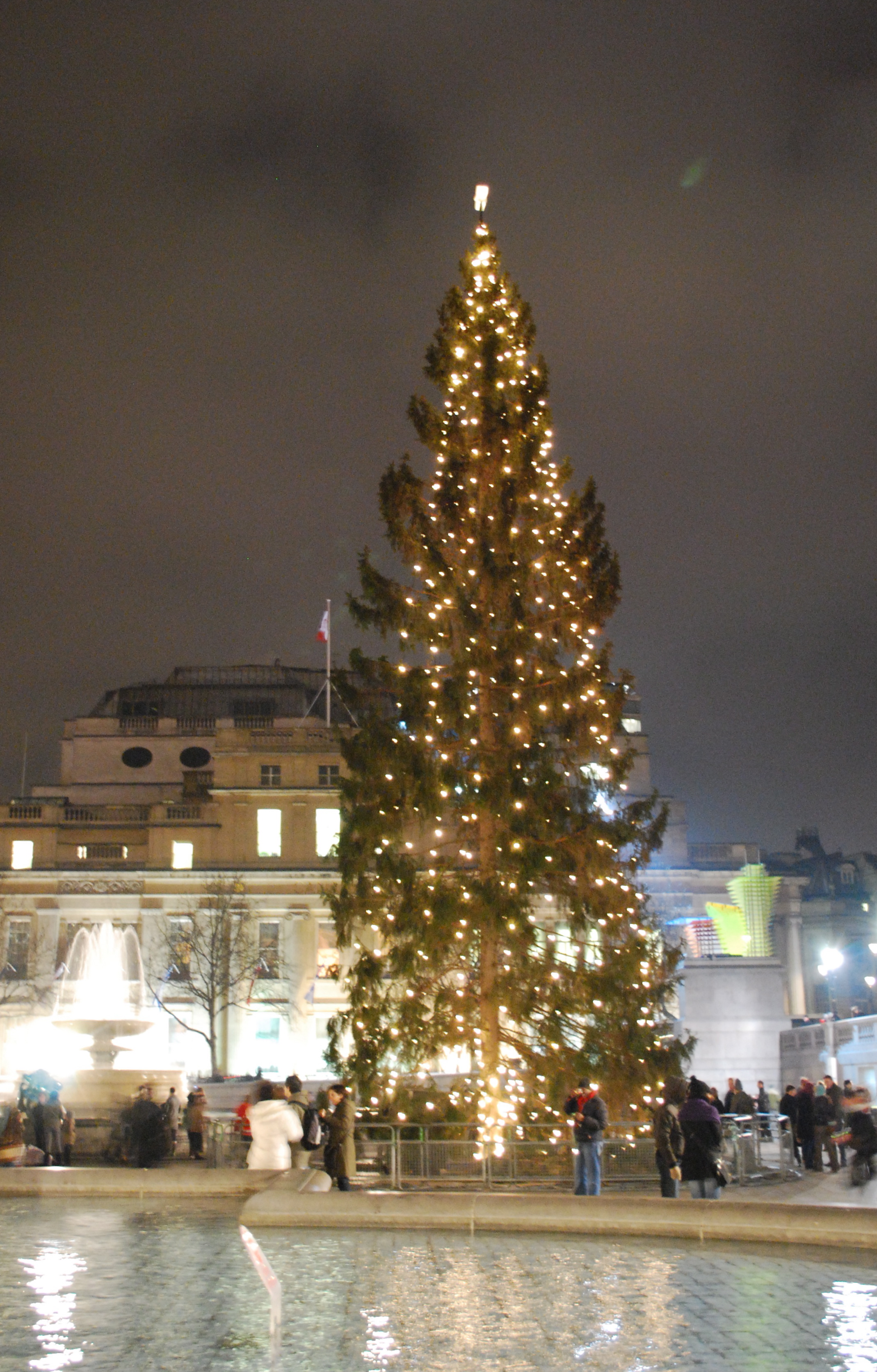 Trafalgar_Square_Christmas_tree8