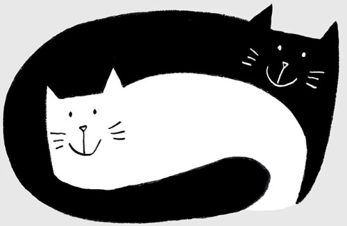 Gatto nero, gatta bianca”: una divertente storia d'amore da Minibombo